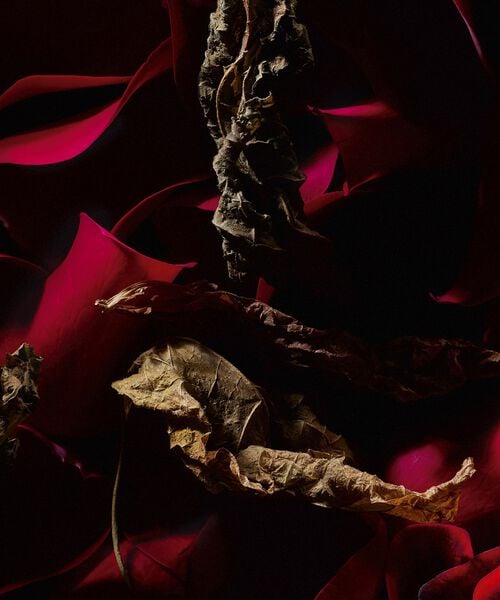 Rouge Velours Le Vestiaire des Parfums